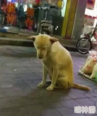 圣采儿跪地叫主人,展现出对主人的无尽忠诚与依赖,引发网友热议和讨论,感动了众多观众的心 圣采儿跪地叫主人,展现出对主人的无尽忠诚与依赖,引发网友热议和讨论,感动了众多观众的心