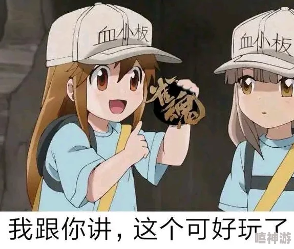 九幺1.0.38版本的全新功能与用户体验深度理解解析