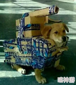 一人一狗卡住6小时要紧吗?专家解析:长时间被困对宠物和主人健康的影响及应对措施 一人一狗卡住6小时要紧吗?专家解析:长时间被困对宠物和主人健康的影响及应对措施