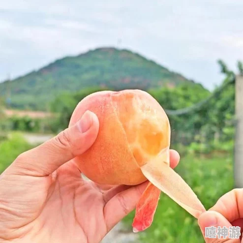大坤坤戳桃子流牛奶,带你感受清新美味与乡村风情的完美结合,尽享自然的馈赠与诱惑 大坤坤戳桃子流牛奶,带你感受清新美味与乡村风情的完美结合,尽享自然的馈赠与诱惑