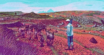 可可西里大但人文艺术的深刻理解与其独特魅力的结合分析 可可西里大但人文艺术的深刻理解与其独特魅力的结合分析