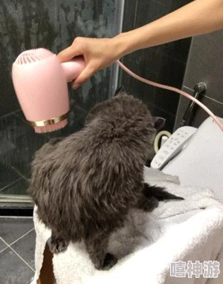 游戏指南:从新手入门到高手进阶的必备攻略秘籍 游戏指南:从新手入门到高手进阶的必备攻略秘籍