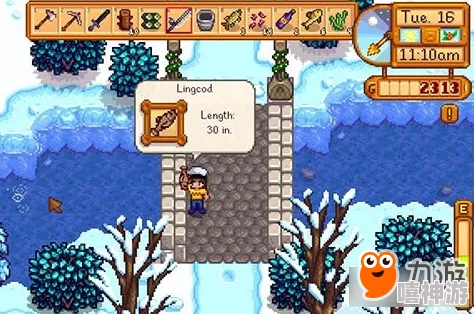 星露谷物语:钓鱼职业选择指南,哪个更适合你? 星露谷物语:钓鱼职业选择指南,哪个更适合你?