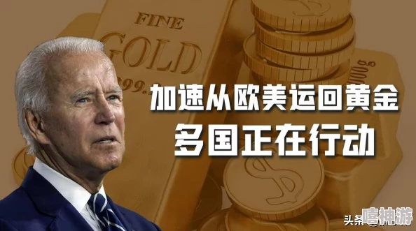 黄金网站app观看大全软件下载:全面解析各类黄金投资网站APP,安全下载与使用技巧分享 黄金网站app观看大全软件下载:全面解析各类黄金投资网站APP,安全下载与使用技巧分享