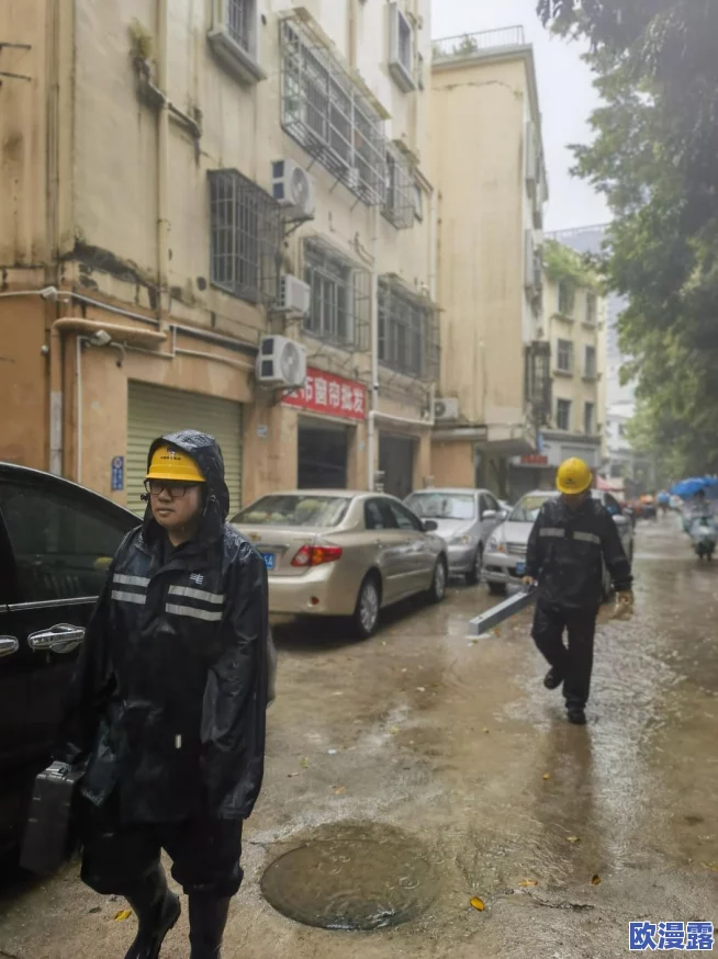 8MAⅤ532外勤突然下雨,工作人员迅速采取应对措施确保任务顺利进行 8MAⅤ532外勤突然下雨,工作人员迅速采取应对措施确保任务顺利进行