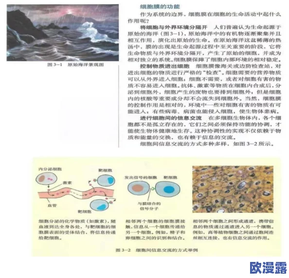 生物老师亲自向我们展示自己:深入了解细胞结构与功能的精彩互动教学体验 生物老师亲自向我们展示自己:深入了解细胞结构与功能的精彩互动教学体验