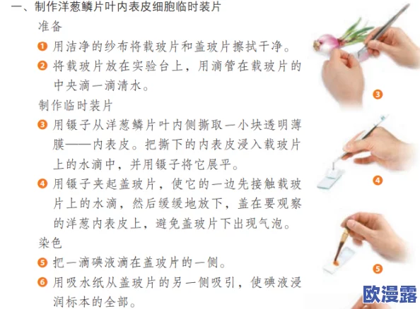 生物老师亲自向我们展示自己:深入了解细胞结构与功能的精彩互动教学体验 生物老师亲自向我们展示自己:深入了解细胞结构与功能的精彩互动教学体验