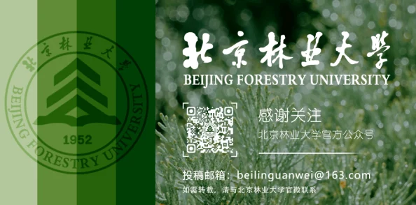 嫩叶草m码和澳洲码:时尚圈新宠,明星们纷纷抢购背后的秘密你知道吗? 嫩叶草m码和澳洲码:时尚圈新宠,明星们纷纷抢购背后的秘密你知道吗?