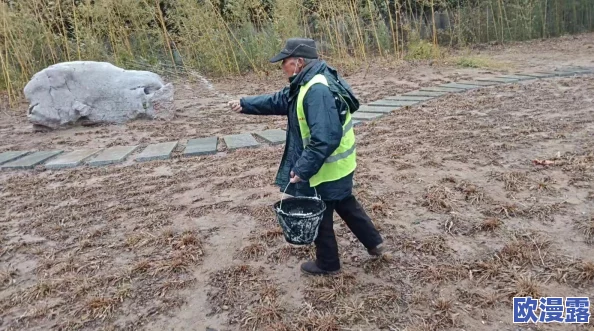 十8模软件下载安装，事半功倍的选择，让你轻松掌握设计技巧！