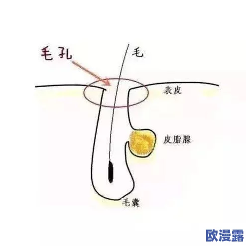 冲破少女最后的屏障:从心理成长到社会压力,如何理解青春期的挑战与机遇 冲破少女最后的屏障:从心理成长到社会压力,如何理解青春期的挑战与机遇