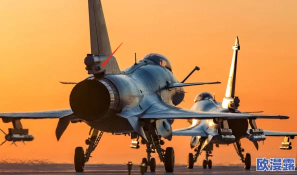 近距离进入BBw特写：深入了解其独特魅力与文化背景，展现多样化的生活方式与真实故事