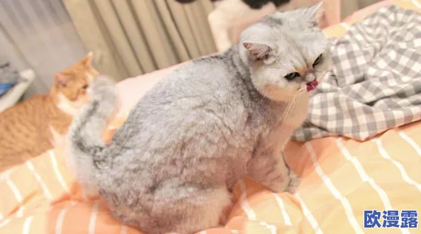 蛇倒刺蛇j子宫的出处和历史背景：从古代文献到现代生物学研究的演变与影响