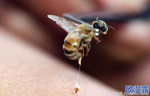 蛇倒刺蛇j子宫的出处和历史背景：从古代文献到现代生物学研究的演变与影响