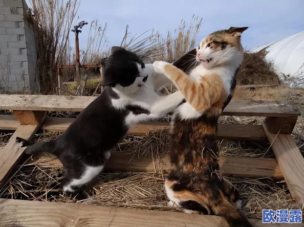 蛇倒刺蛇j子宫的出处和历史背景：从古代文献到现代生物学研究的演变与影响