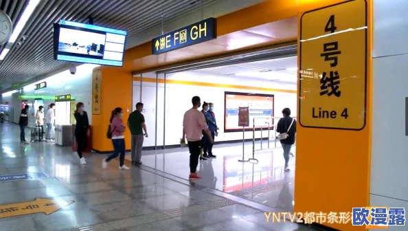 地铁逃生游戏中，哪款六级护甲最抗打击且耐用性高