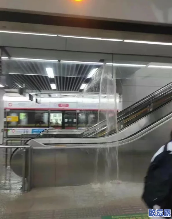 地铁逃生游戏中，哪款六级护甲最抗打击且耐用性高