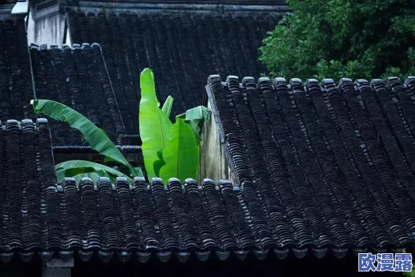 微信小游戏四季物语图鉴大全：全新更新内容与玩法解析，助你轻松收集所有角色和道具！