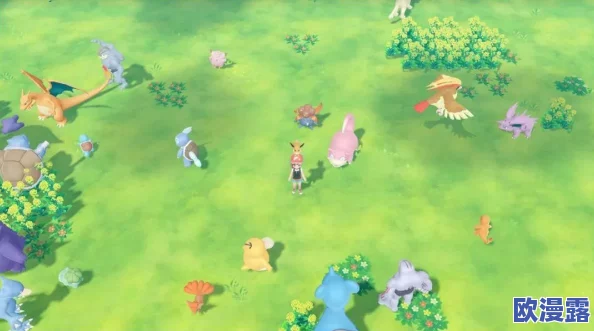 宝可梦大集结：全面解析马力全开协力战玩法攻略