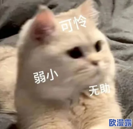 啊哈哈哼啊哈：网友们纷纷表示这段视频让人忍俊不禁，笑声不断，真是生活中的一剂良药！