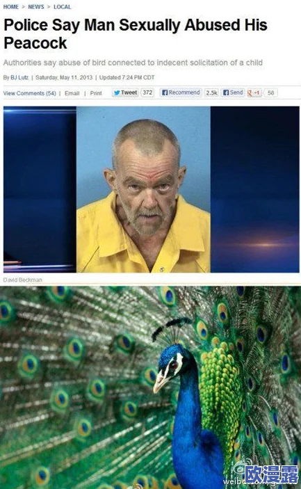 非洲人与禽性动交CCOO:探讨其社会文化背景、生物学影响及伦理争议的多角度分析研究 非洲人与禽性动交CCOO:探讨其社会文化背景、生物学影响及伦理争议的多角度分析研究