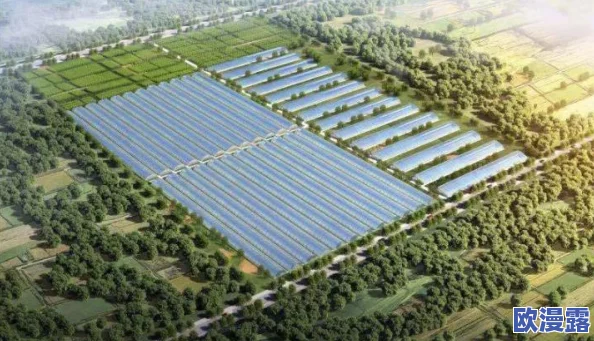 樱桃视频靠比：深度解析当前热门视频平台的发展趋势与用户体验的关系，及其在市场中的竞争力分析