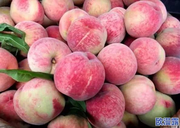 AV水蜜桃:一款引领潮流的全新成人产品,带你体验前所未有的感官享受与极致快感 AV水蜜桃:一款引领潮流的全新成人产品,带你体验前所未有的感官享受与极致快感