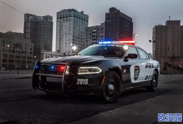 车子一晃一晃就c进肉了的游戏，网友纷纷表示这款游戏设定太奇葩，令人哭笑不得，真是脑洞大开！