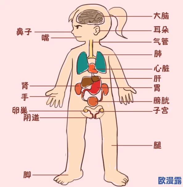 男生和女生努力生孩子：了解生育的生理机制、心理准备、健康养分和社会支持的重要性