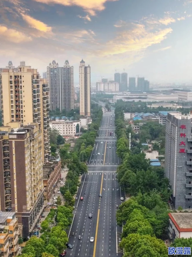 2023免费网站推广大全：全面理解各种有效的在线营销策略与技巧