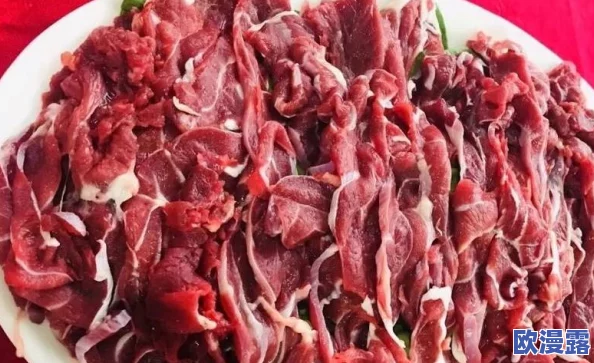 肉甫团:分享经典传统美食的文化底蕴与现代创新,探索它在各地的独特风味和制作技艺 肉甫团:分享经典传统美食的文化底蕴与现代创新,探索它在各地的独特风味和制作技艺