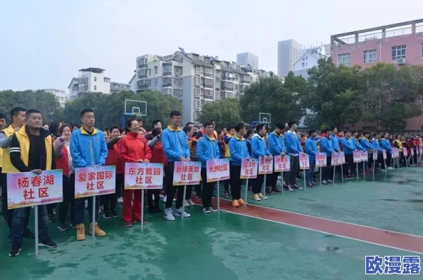 方舟生存进化：探索极致游戏体验，深度剖析单人冒险VS多人协作模式选择策略指南