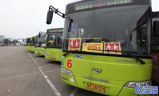 苏苏的公交车日记：网友热议她在公交上的奇遇与感悟，分享生活中的点滴温暖与幽默瞬间