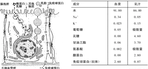 和平精英女生的母乳到底有多白?从生物学角度分析其成分与色泽变化的研究报告 和平精英女生的母乳到底有多白?从生物学角度分析其成分与色泽变化的研究报告