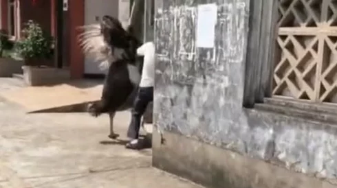 公厕dayGayGay骚年老头:网友热议公共场所的性取向表达与社会接受度,呼吁更多包容与理解 公厕dayGayGay骚年老头:网友热议公共场所的性取向表达与社会接受度,呼吁更多包容与理解