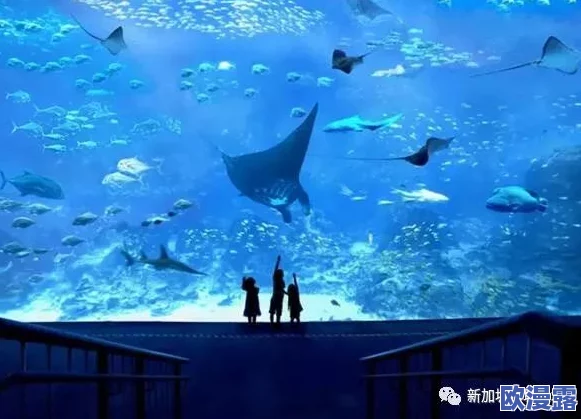 文明6中探索：哪个地形完全不受海洋影响的独特环境