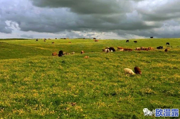 樊梨花的大馒头：历史人物樊梨花的传说与中华美食文化的深厚渊源分析