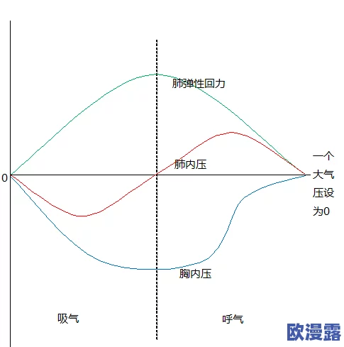 胸交是什么感觉？探讨其生理与心理感受的复杂性及可能影响因素