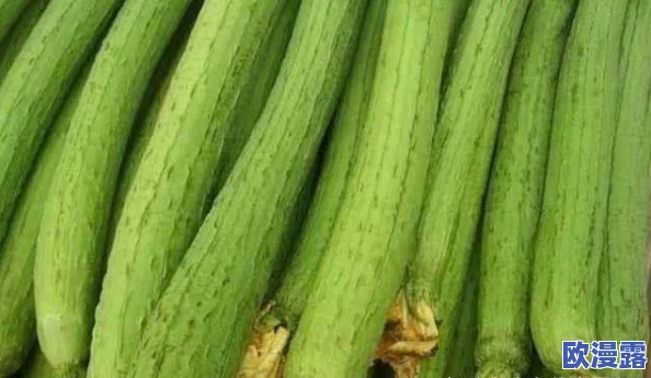 草莓香蕉榴莲黄瓜丝瓜茄子:多种水果与蔬菜的营养价值及其在健康饮食中的重要性分析 草莓香蕉榴莲黄瓜丝瓜茄子:多种水果与蔬菜的营养价值及其在健康饮食中的重要性分析