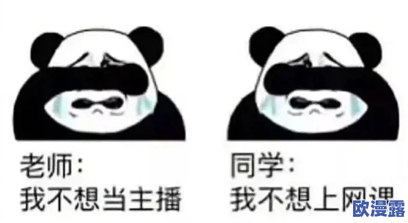 啊哈哈哼啊哈：在欢声笑语中，我们一起分享生活中的点滴乐趣与感动，带你领略不一样的快乐时光