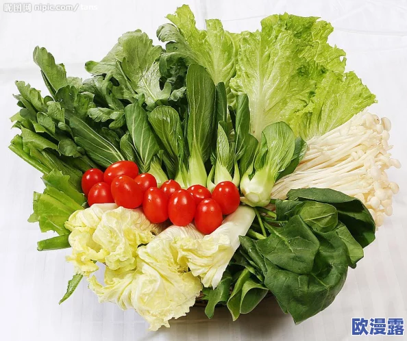 秘密研究所入口mini的攻略：详细解读各个关卡及最佳通关策略，助你轻松完成挑战！
