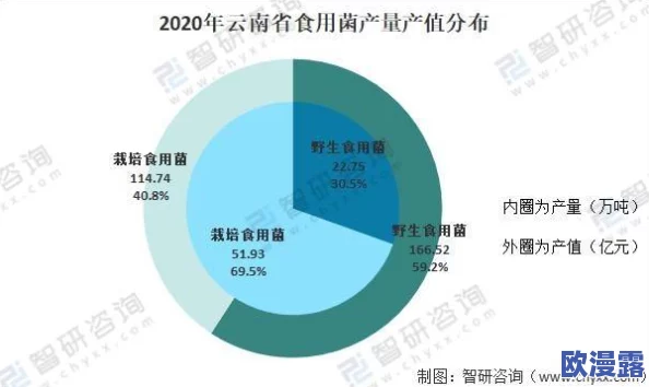 黑料-今日黑科：最新进展揭示行业内幕，深度分析引发广泛关注与讨论