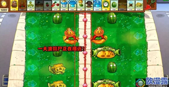 《PVZ杂交版》益智模式挑战：两面夹击高效通关全图文攻略解析