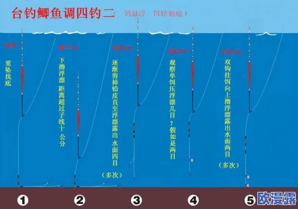 吕总扣鱼鳃的三个步骤：详细解析及注意事项，确保操作安全与效率，提升鱼类处理技巧与经验分享