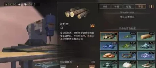 挑战极限：用我超凡眼神挖穿地球，助你直达对面通关秘籍