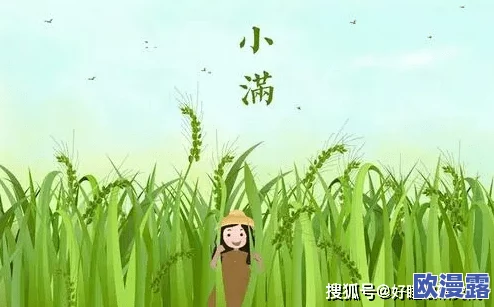 姬小满张嘴流眼泪，揭示植物在高温环境下的生理反应与水分调节机制的重要性