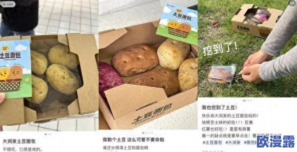 美国人ⅩXX:解构当代美国社会中的文化多样性与价值观冲突的深层因素与影响 美国人ⅩXX:解构当代美国社会中的文化多样性与价值观冲突的深层因素与影响