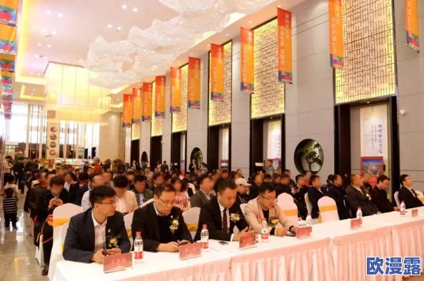 www.sewuyue：在数字时代，如何通过创新设计提升用户体验与品牌价值的思考与实践