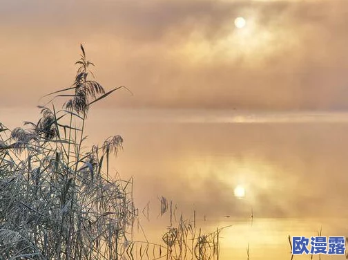 申鹤翻白眼流眼泪流口水照片引发网友热议，背后故事令人感慨不已，大家纷纷表达自己的看法与情感