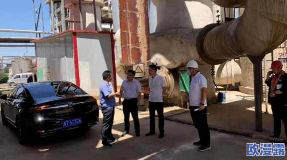 黑料网正能量：积极传播社会正能量，助力网络环境的健康发展与文明交流