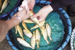 吕总的扣鱼鳃最简单回应引发热议,网友纷纷表示支持与质疑,认为其言论反映了社会对传统文化的不同理解 吕总的扣鱼鳃最简单回应引发热议,网友纷纷表示支持与质疑,认为其言论反映了社会对传统文化的不同理解